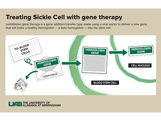 Sickle Cell Gene Therapy Stream