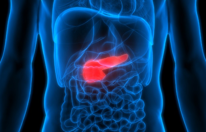 Pancreas image