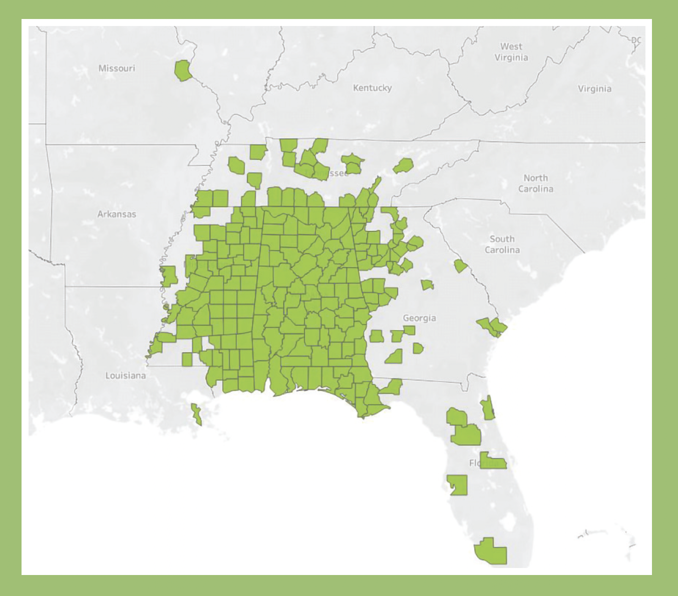 Map showing how our patients are represented in every county of Alabama and beyond, indicated by the color green