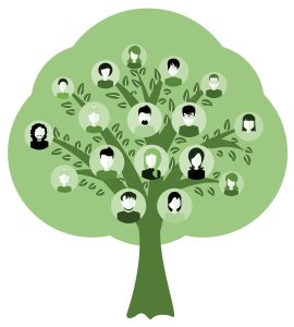 Green genealogy tree for dna ancestors