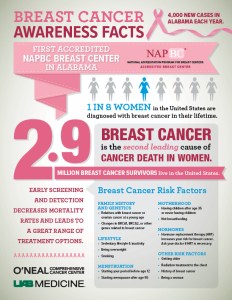 Breast Cancer Awareness Facts Infographic